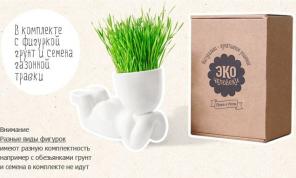 экочеловечки