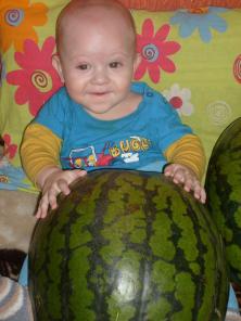 продам арбузы,дыни оптом