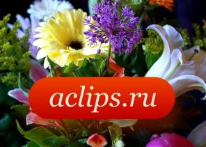 Букеты цветов. Розы в Самаре оптом и в розницу