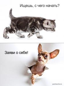зарабатак в интернете без влажения денег