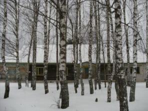 дом-300 кв.м +50сот(под минигостиницу)