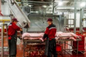 Мясные продукты собств. производства