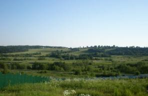 Ярославское ш. 50 сот. у леса в Тургенево