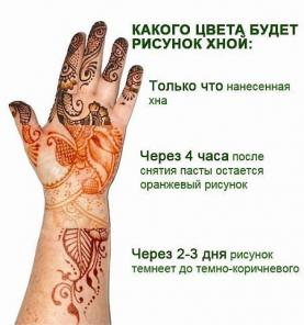 Натуральная индийская хна Черная и Коричневая