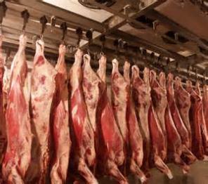 Продам мясо баранины оптом охлажденка и глубокой заморозки