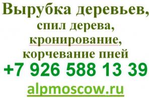 Вырубка деревьев, спил дерева, кронирование, корчевание пней Москва.