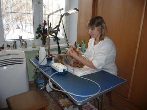 СТРИЖКА СОБАК,КОТОВ И КОШЕК ВСЕХ ПОРОД