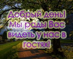 Мужская и женская обувь: Ботинки, Сапоги, Кеды, Мокасины, Сабо, Сандалии, Туфли от Dipolo