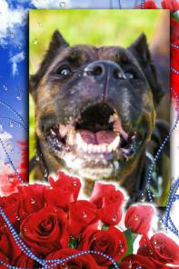 ������ ��� ���������� �������.