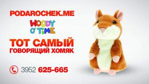 Хомяки - повторюшки, говорящий хомяк