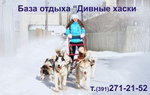 Катание на хаски в Красноярске