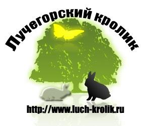 Продажа крольчат мясных пород