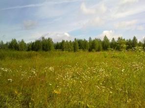 Продается участок в Чеховском районе, д. Алферово
