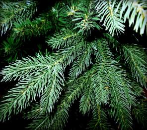 Искусственные Елочки напрямую от Производителя Green Trees