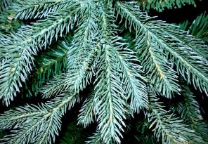 Искусственные Елочки напрямую от Производителя Green Trees