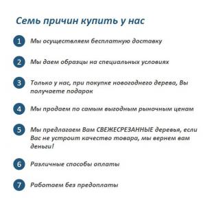 Доставка елок по Москве и МО. Кликайте!