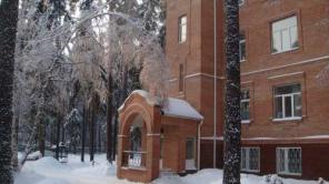 Встретить Новый год в Подмосковье.