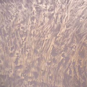 ������������ ���������� ���������