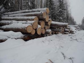 Вологодский круглый лес