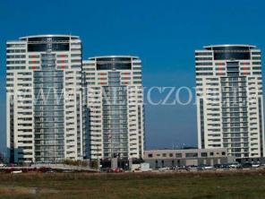 ������������ 3-��������� �������� � ����