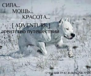 Туры и путешествия