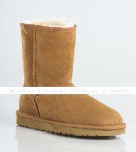   UGG Australia