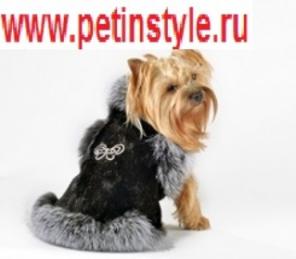 Одежда и аксессуары для животных