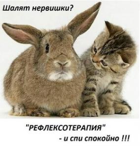 Многопрофильная клиника Lazers Medika