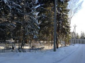Продам участок в Новоглаголево 15 соток лесной