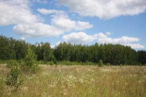 Продается земельный участок 33 сотки, Калужская обл, д. Роженск.