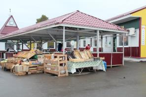 Продается многопрофильный рынок 5 500 м2. Серпуховский район МО, пос. Пролетарский