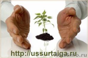 Продам лечебные травы – доставка бесплатно