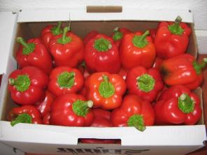Продам фрукты, овощи, цитрус