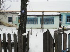 Кирпичный дом с участком 23 сотки в Данковском районе Липецкой области