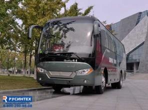 Автобусы