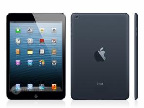        Apple - iPad mini  
