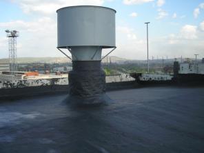 ���������������� ������ ������