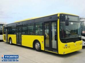 Автобусы
