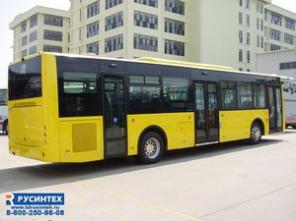 Автобусы