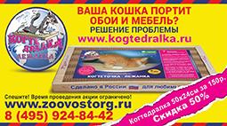 Когтеточки для кошек со скидкой 50%! Акция!
