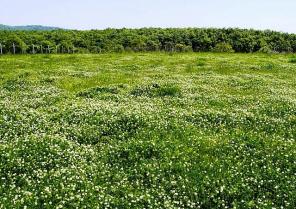 Болгария! Село Росен, участок в регуляции с прекрасной панорамой!