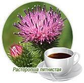 Чай Holy и заработок. Работа на дому.