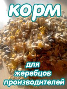 Корма для лошадей (атрибутика, амуниция, добавки).