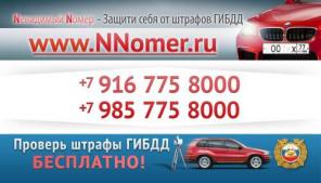 Магнитный номер,нанономер,Наклейки на номер,яйца на машину ,зашита от штрафов