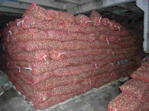 Семенной картофель