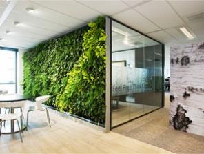 Вертикальное евро- озеленение живыми растениями!