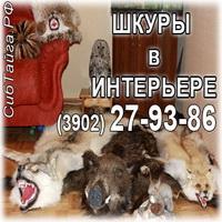 Меховой салон Сибирская Тайга: изделия из меха, шкуры-ковры, vip подарки, шкура медведя, волка