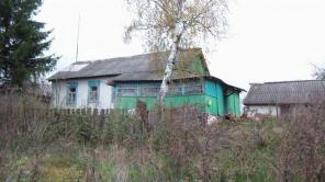 Продам дом в д.Домино в Орловской области