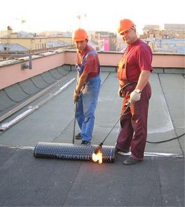 ������ ������