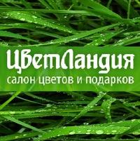 Доставка цветов, подарков в Челябинске